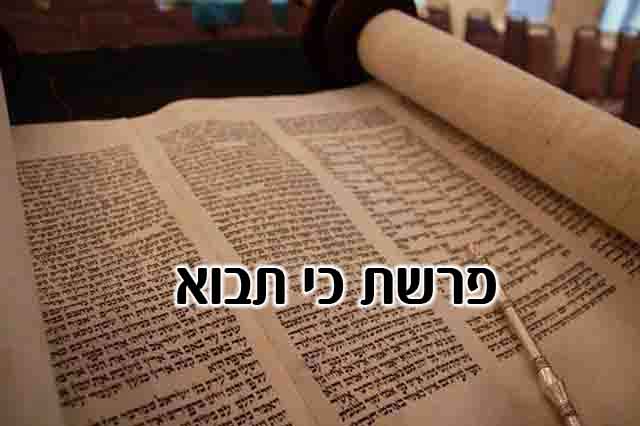 כי תבוא: המשמעות הלאומית של הביכורים | כמים לים