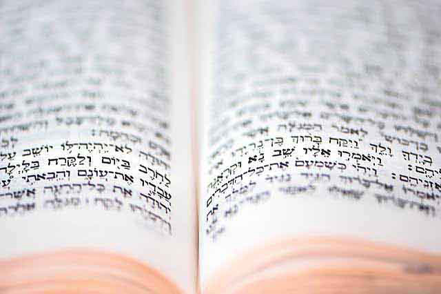 תורת ברית ותורת חוזה